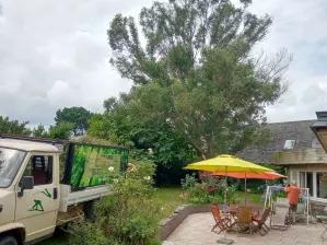Taille et élagage à proximité d'une terrasse à Plouezoch